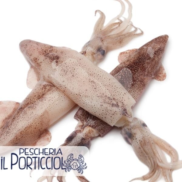 Calamari ok - Pescheria il Porticciolo