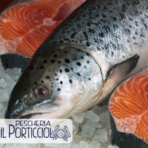 Salmone - Pescheria il Porticciolo